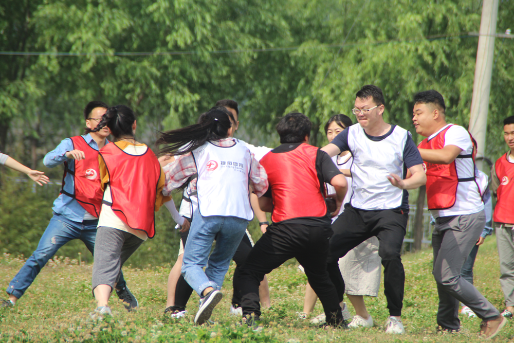 团队风采(图4)