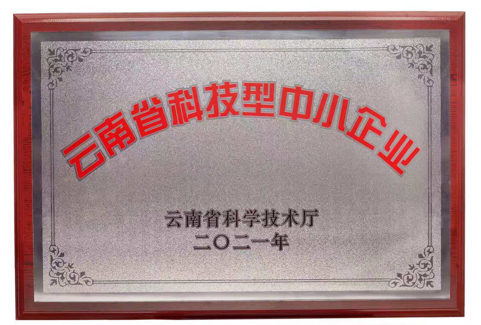 云南省科技型中小企业（云南迪迈地理信息空间科技有限公司）